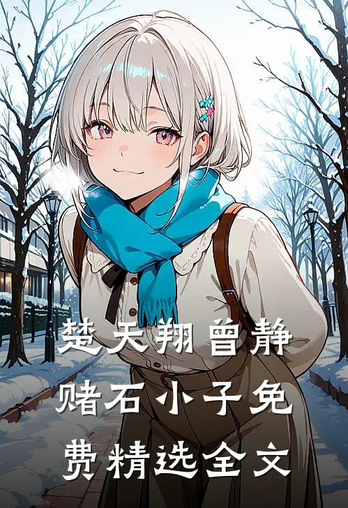 楚天翔曾静赌石小子免费精选全文