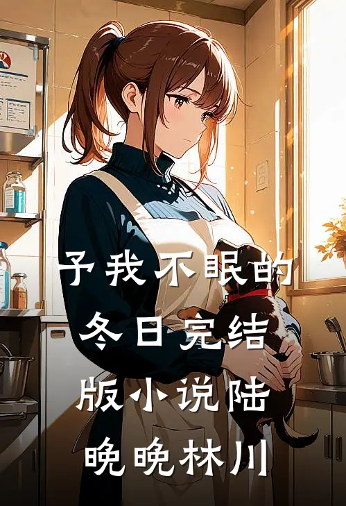 予我不眠的冬日完结版小说陆晚晚林川