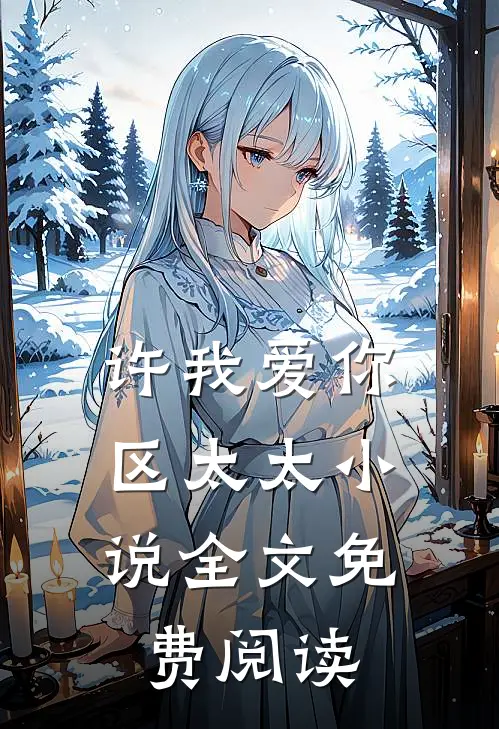 许我爱你，区太太小说全文免费阅读