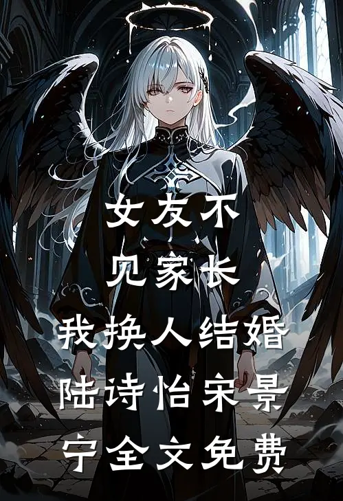 女友不见家长，我换人结婚陆诗怡宋景宁全文免费