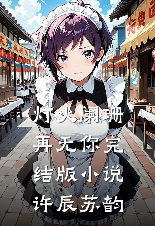 灯火阑珊再无你完结版小说许辰苏韵