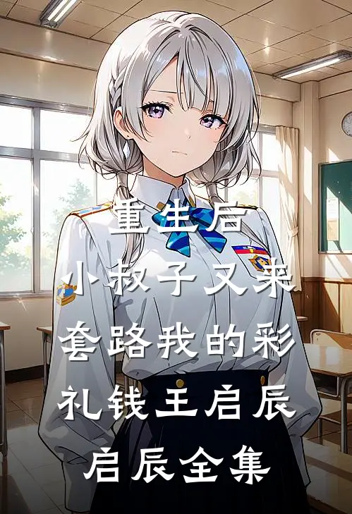 重生后，小叔子又来套路我的彩礼钱王启辰启辰 全集