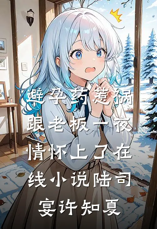 避孕药惹祸，跟老板一夜情怀上了在线小说陆司宴许知夏