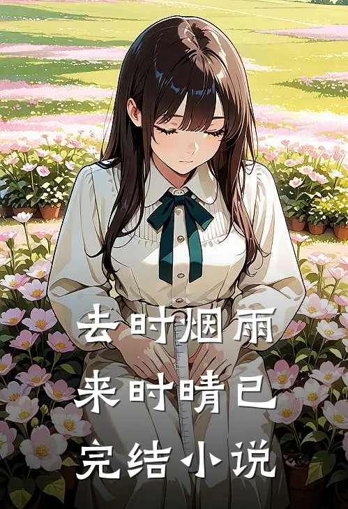 去时烟雨来时晴已完结小说