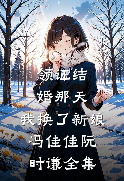 领证结婚那天，我换了新娘冯佳佳阮时谦全集