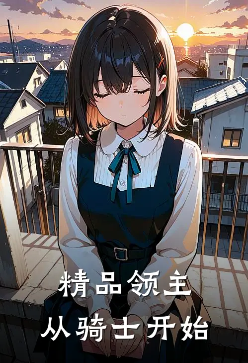 精品领主：从骑士开始