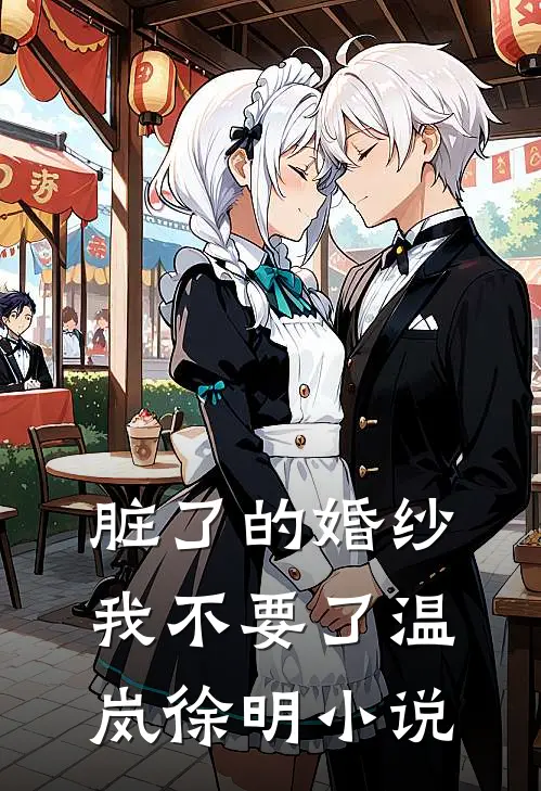 脏了的婚纱，我不要了温岚徐明小说