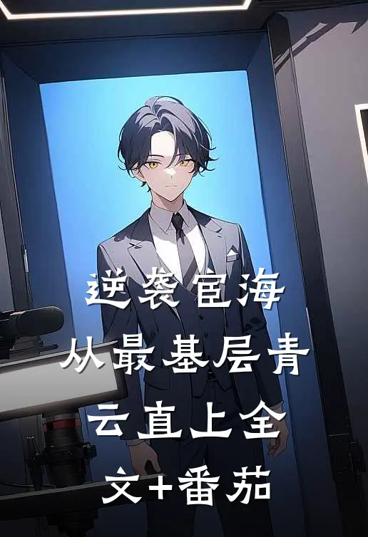 逆袭宦海：从最基层青云直上全文+番茄