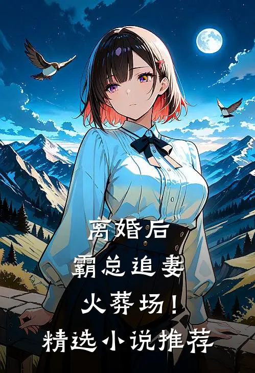 离婚后，霸总追妻火葬场！精选小说推荐