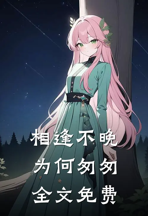 相逢不晚为何匆匆全文免费