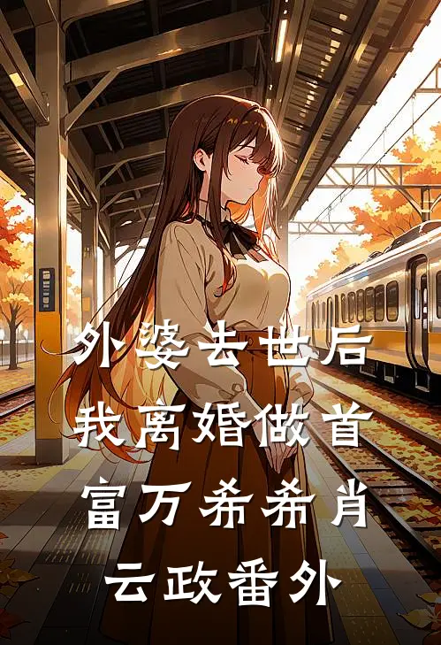 外婆去世后，我离婚做首富万希希肖云政 番外