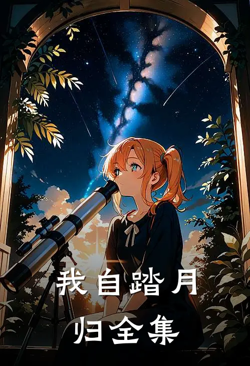 我自踏月归全集
