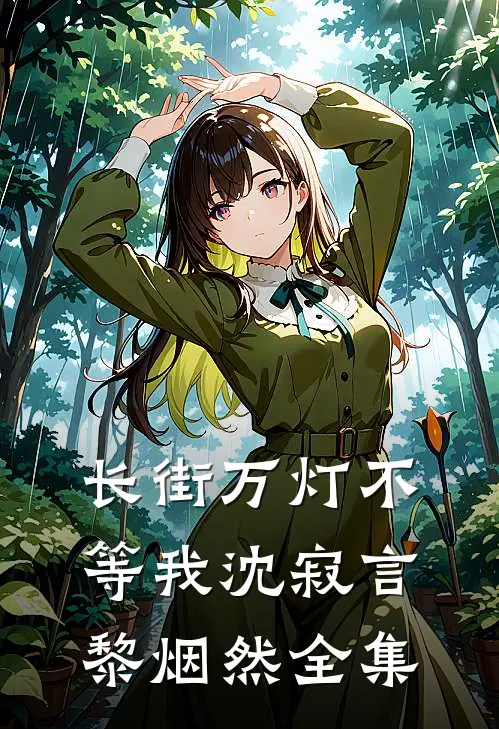 长街万灯不等我沈寂言黎烟然全集