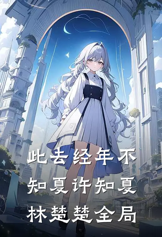 此去经年不知夏许知夏林楚楚全局