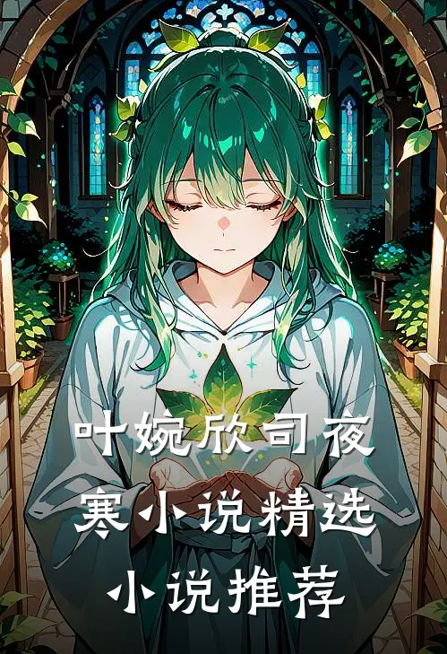 叶婉欣司夜寒小说精选小说推荐