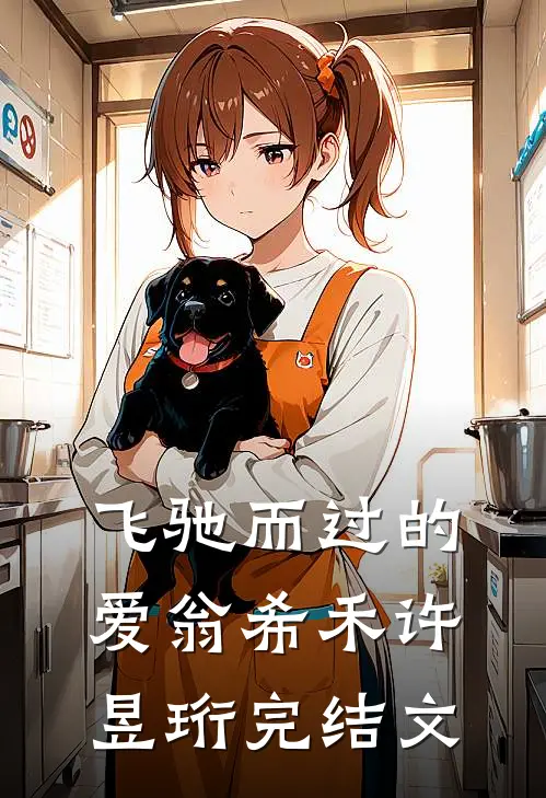 飞驰而过的爱翁希禾许昱珩完结文