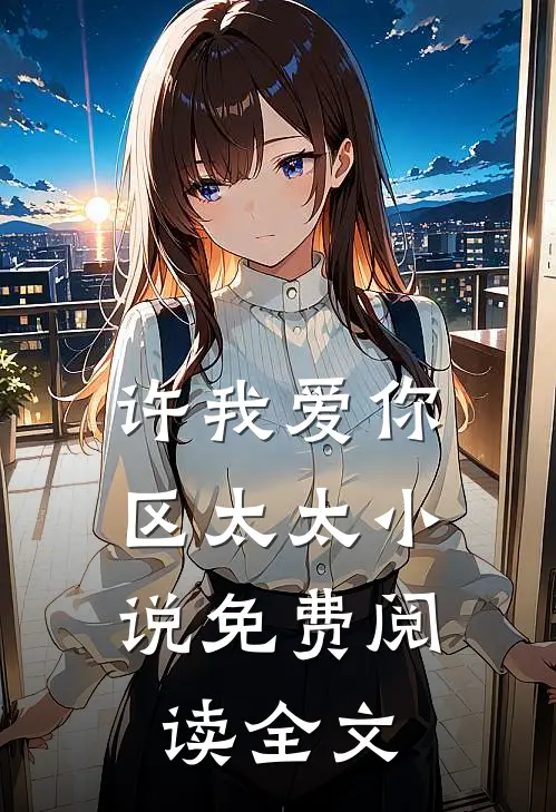 许我爱你，区太太小说免费阅读全文
