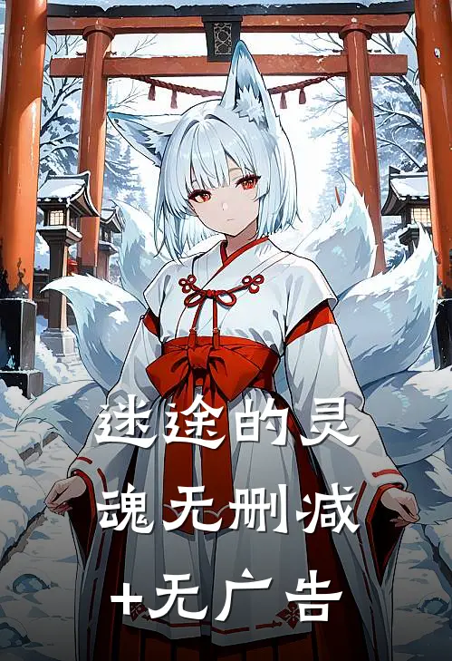 迷途的灵魂无删减+无广告