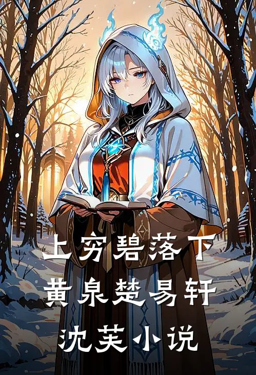 上穷碧落下黄泉楚易轩沈芙小说