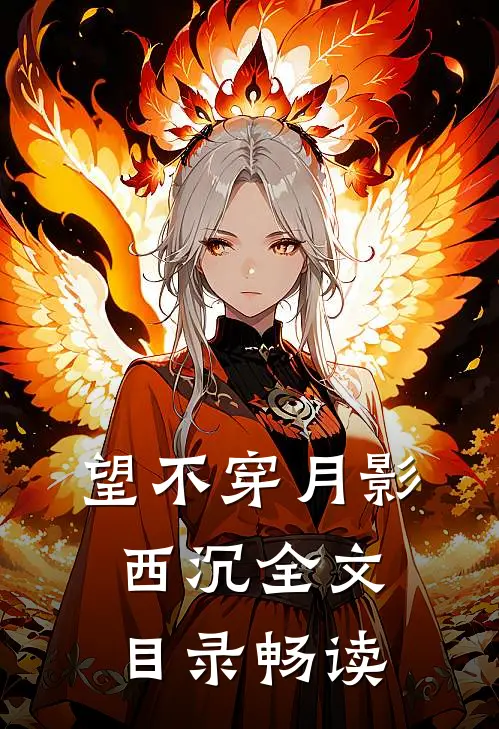 望不穿月影西沉全文目录畅读