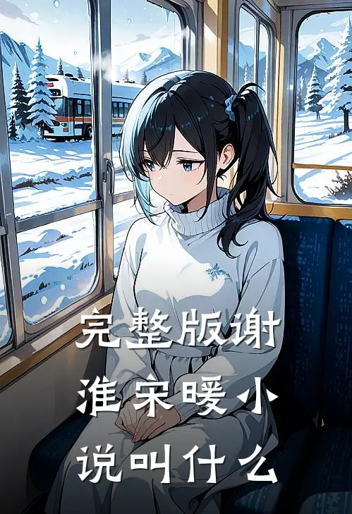 完整版谢淮宋暖小说叫什么
